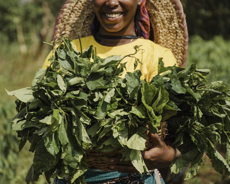 légumes-feuilles africains est bienfaits cuisine africaine dans le restaurant africain toulouse woezon