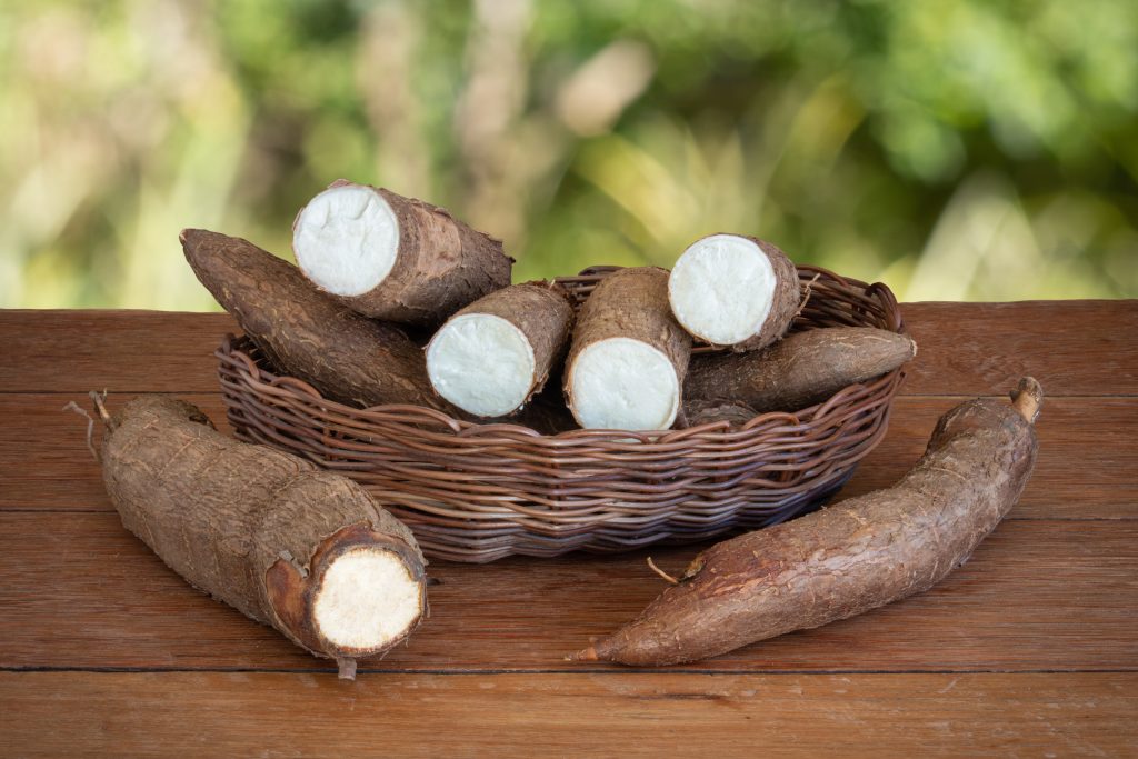 manioc est un bienfaits cuisine africaine dans le restaurant africain toulouse woezon